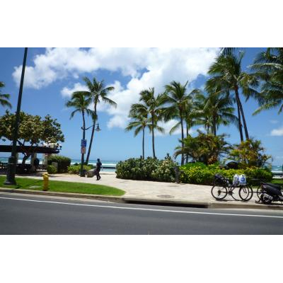 ���饫�����̤�Υ磻�����ӡ����Ǥ���