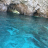 Turtle Island �ĥ��� 