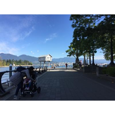 ����Ƥ��Ƥ⾯��ȩ������