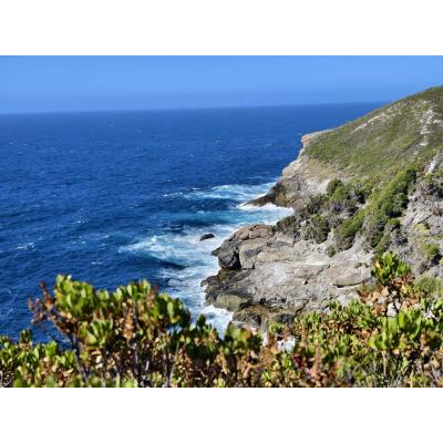 Peak head trail