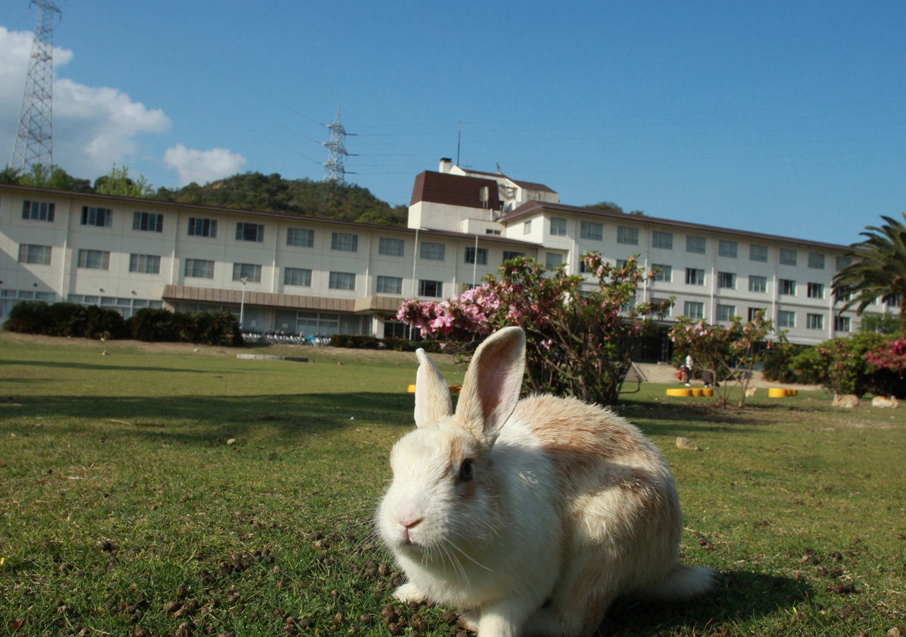 休暇村 大久野島