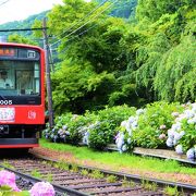 運行再開！箱根登山電車に乗って箱根へ♪おすすめ観光スポット＆温泉を紹介