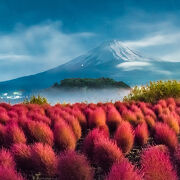 秋旅！紅葉や温泉、絶景など秋に行くべき東日本の名所20選