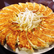 【2025】浜松餃子ランキングTOP12！旅行者や出張者に選ばれた店