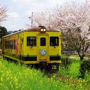 春はのんびり列車旅！ 絶景車窓に癒されるローカル線8選