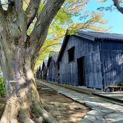 インスタ映えの宝庫！山形観光で行くべき名所17選！山寺、銀山温泉など