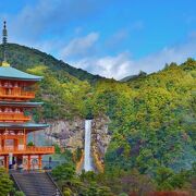 【2025年版】和歌山で行きたい観光名所！世界遺産、絶景、面白スポットなど15選