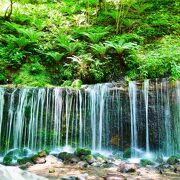 軽井沢のおすすめスポット16選！自然、買い物、温泉を満喫♪