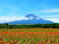 山梨で訪れたい観光名所18選！定番から穴場スポットまでおすすめを紹介