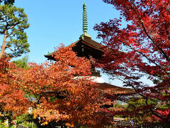 トラベラーが選ぶ！京都の紅葉スポット10選。おすすめグルメ付き！