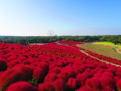 【関東】日帰りで行く！ 秋の絶景おでかけスポット13選