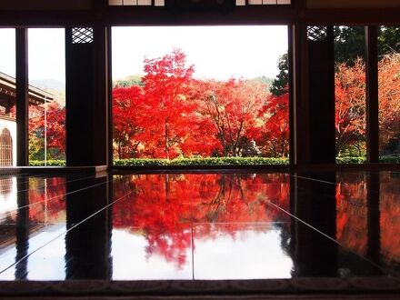 【2021年】関東で行くべき絶景紅葉スポット7選！日帰りで秋を満喫