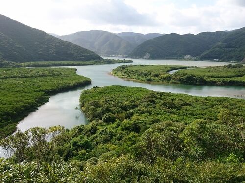 祝・世界遺産登録！奄美大島のおすすめスポット17選。大自然の絶景を満喫