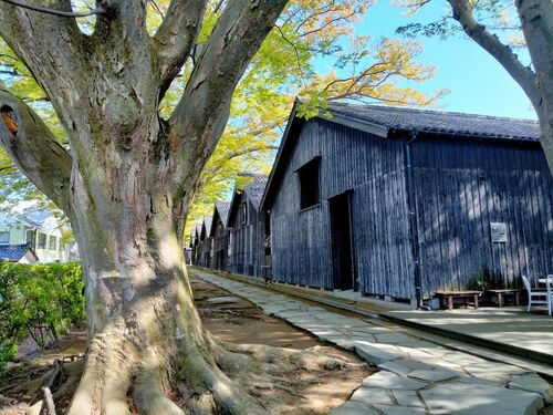 インスタ映えの宝庫！山形観光で行くべき名所17選！山寺、銀山温泉など