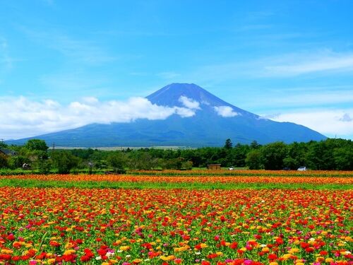 山梨で訪れたい観光名所18選！定番から穴場スポットまでおすすめを紹介
