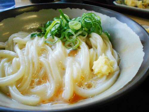 【2025】香川うどんの名店ランキング ベスト15！絶品店をご紹介