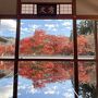 関東で行くべき絶景紅葉スポット7選！日帰りで秋を満喫