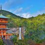 【2024年版】和歌山で行きたい観光名所！世界遺産、絶景、面白スポットなど15選