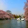 吉祥寺の行くべきスポット＆食べるべきグルメ16選！オシャレで住みたくなる魅力満載