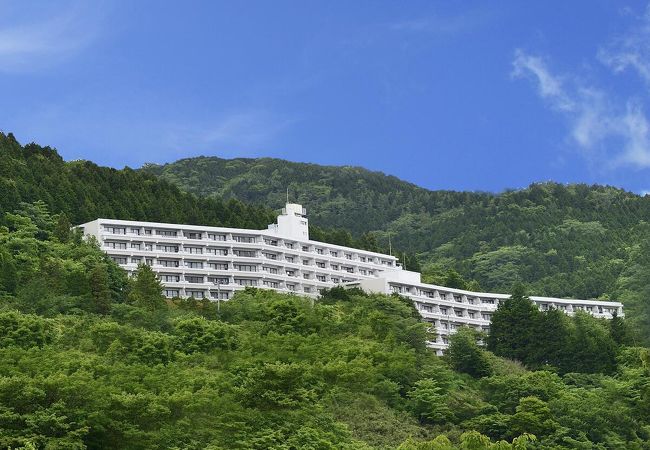 ミスティイン仙石原 写真