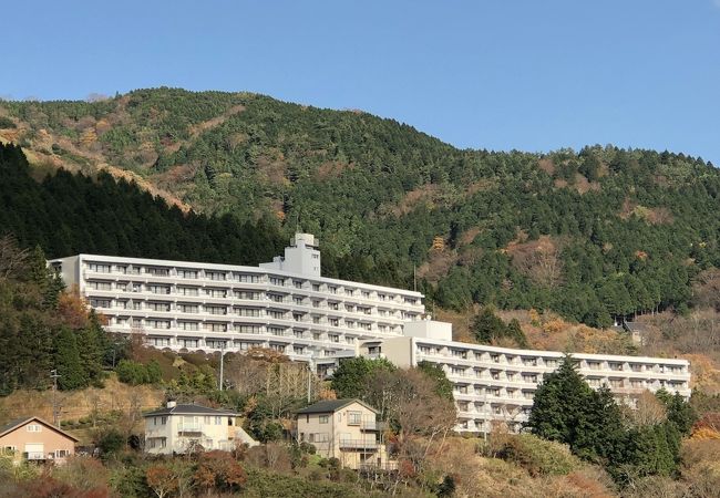 ミスティイン仙石原 写真