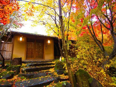 蓼科温泉 藍染と懐石料理の宿 たてしな藍 写真