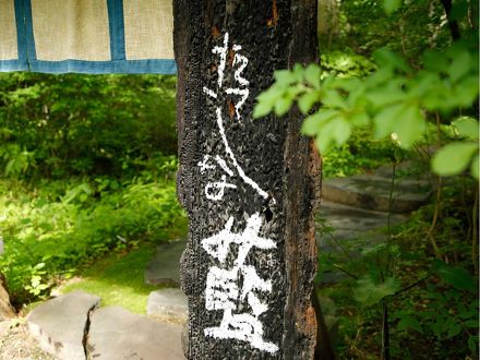 蓼科温泉 藍染と懐石料理の宿 たてしな藍 写真