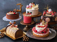 Edmont Christmas 2025