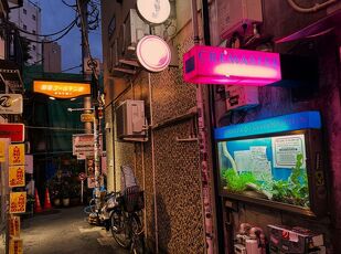 ５大特典＋キャッシュバック付の公式予約サイトが一番おトクです 写真