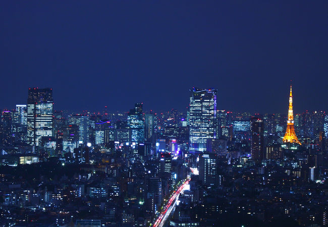セルリアンタワー東急ホテル 写真