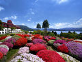 元箱根・芦ノ湖周辺のホテル