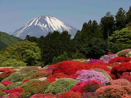 山のホテル 写真