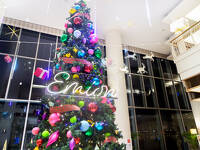 🔔クリスマスのおすすめプランをご紹介🔔