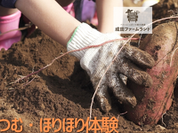 成田ファームランドでつむつむ・ほりほり体験付ご宿泊プラン