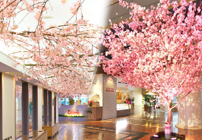 サンルートプラザ東京 (2019年10月1日より「東京ベイ舞浜ホテル ファーストリゾート」へリブランド) 写真
