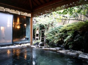 由緒あるいで湯を楽しむ温もりの宿 写真