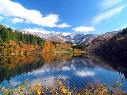 ホテル　シェラリゾート湯沢 写真