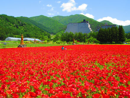 ホテルリステル猪苗代 ウイングタワー 写真