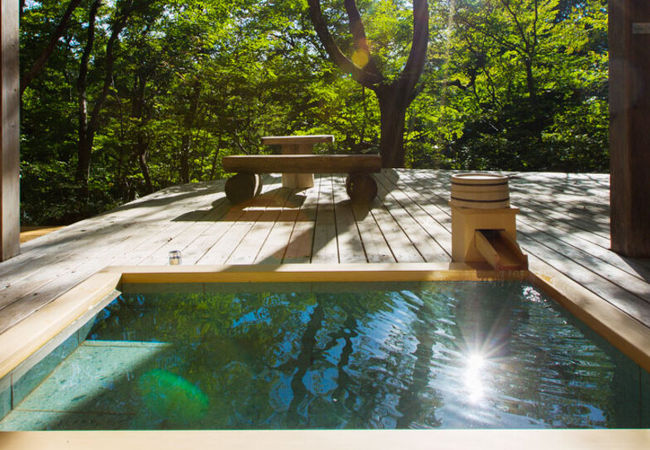 温泉山荘 だいこんの花 写真