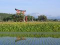 アパホテル＜山形鶴岡駅前＞ 写真