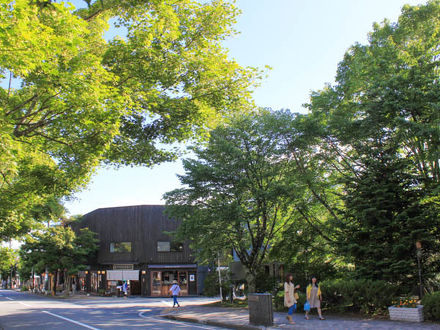 リブマックスリゾート軽井沢 写真