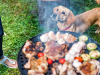 夏を満喫！愛犬と一緒にBBQ！2024 宿泊プラン