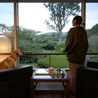 愛犬と楽しむ温泉旅館　伊豆修善寺　絆 写真