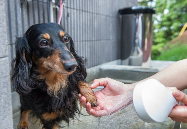 ラフォーレ修善寺 山紫水明 写真