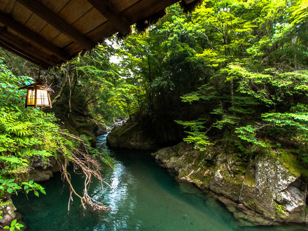 リブマックスリゾート天城湯ヶ島 写真