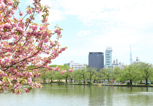 アパホテル<京成上野駅前> 写真