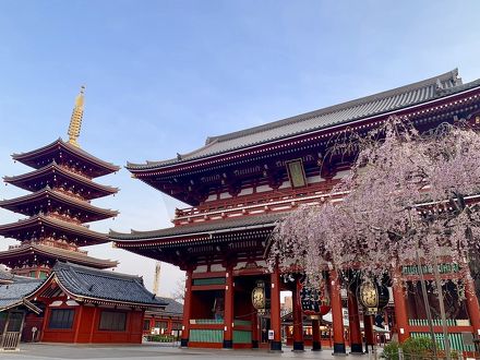 アパホテル ＜浅草雷門＞ 写真