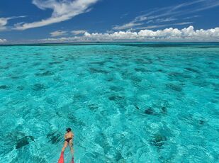 【早期予約】120日前予約早取りプラン/素泊まり 写真