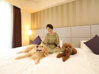 東京の都心で愛犬と宿泊を楽しめるホテル。