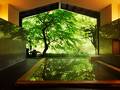 界 箱根 写真